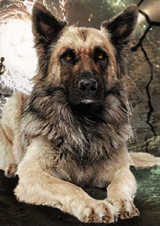 ������ ��� ����� / ���������� �������