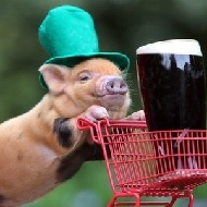 ������ ��� Grootis / ���������� �������