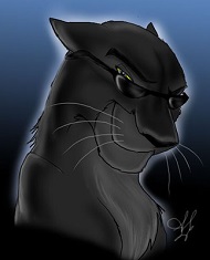 ������ ��� ���� ���-���� / ���������� �������