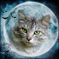 ������ ��� Space Wind / ���������� �������