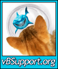 ������ ��� vBSupport