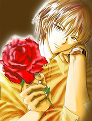 ������ ��� ����� / ���������� �������